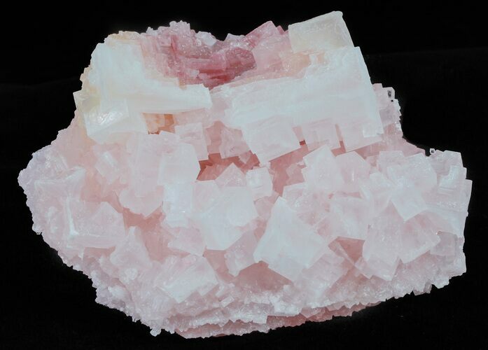 Pink Halite Crystal Plate - Trona, California #61050